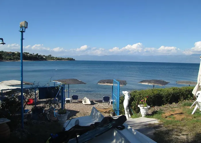 Bio House Апартаменты *