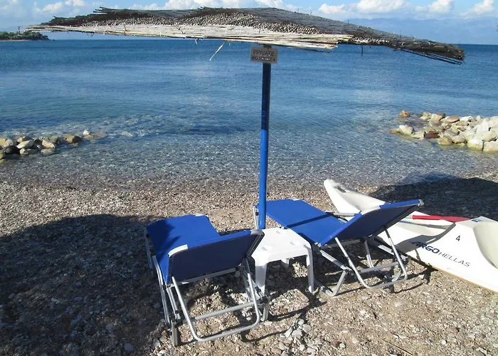 Bio House Апартаменты *