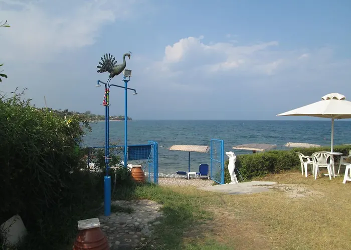 Bio House Апартаменты *