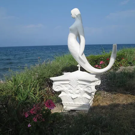 Bio House Apartment *