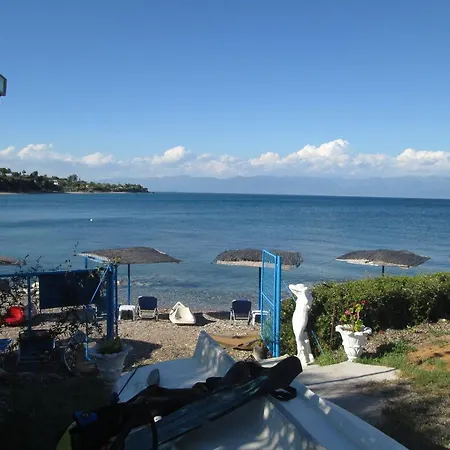 Bio House Apartment *