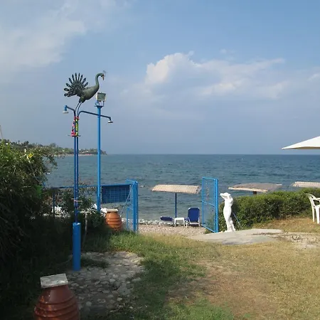 Bio House Apartment *