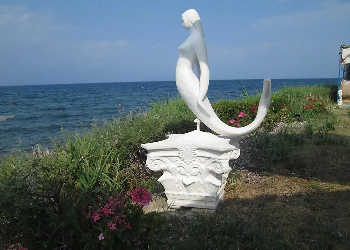 Bio House Apartamento *