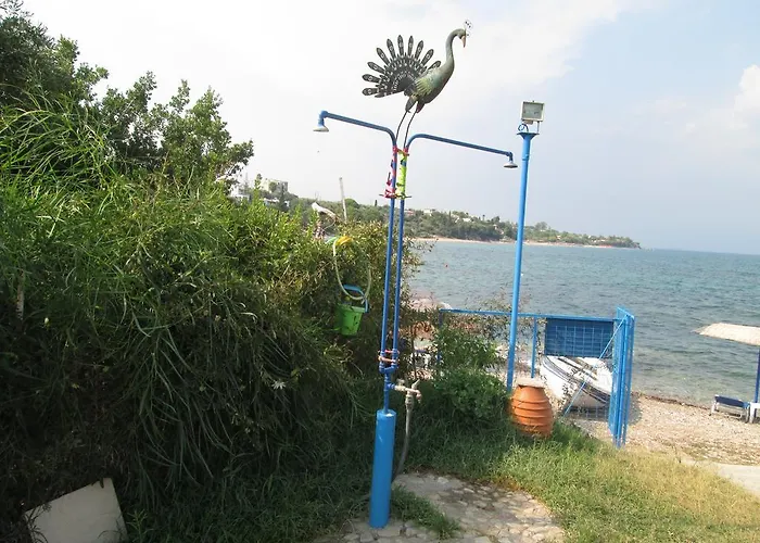 Apartamento Bio House